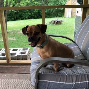 Meet your Posher, Stacey